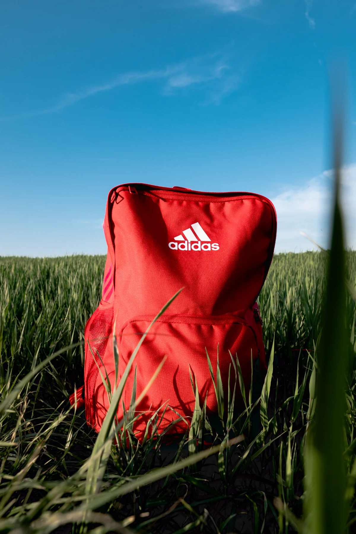 Adidas e-commerce